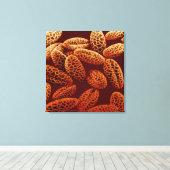 Lily Leinwanddruck (Insitu (Holzboden))