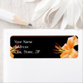 Lily Liebe: Orange Lily on Black (Insitu)