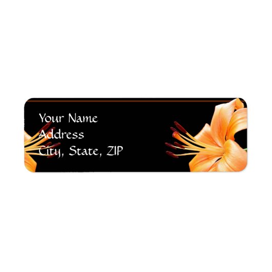 Lily Liebe: Orange Lily on Black (Vorne)
