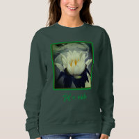 Lily Lotus Blossom Blume