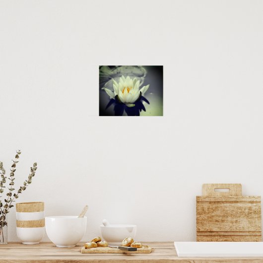 Lily Lotus Blume Poster (Küche)