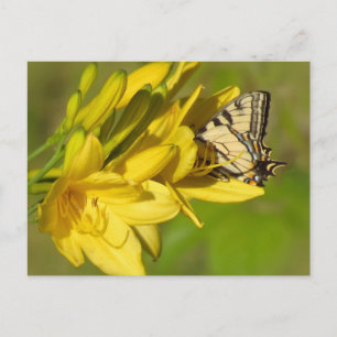 Lily Lover - Butterfly Postkarte
