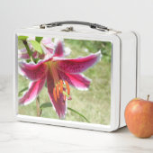 Lily Lunchbox (Beispiel)