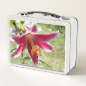 Lily Lunchbox (Rückseite)