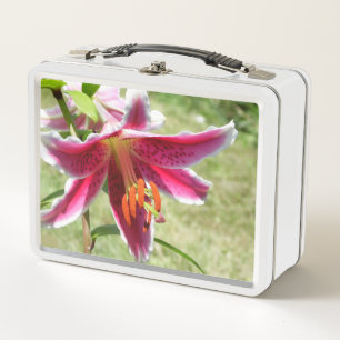 Lily Lunchbox