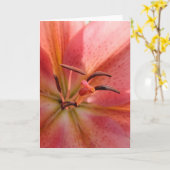 Lily Macro Karte (Gelbe Blume)