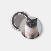 Lily Magnet (Vorderseite/Rückseite)