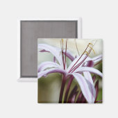 Lily Magnet (Vorderseite/Rückseite)