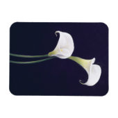 Lily Magnet (Horizontal)