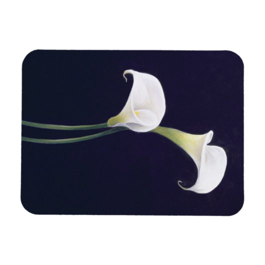 Lily Magnet (Horizontal)