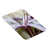 Lily Magnet (Rechte Seite)