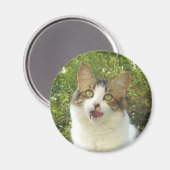 Lily Magnet 001 (Vorderseite/Rückseite)