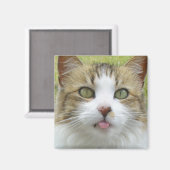 Lily Magnet 004 (Vorderseite/Rückseite)