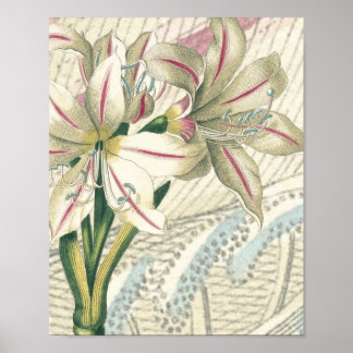 Lily mit der Erweiterung Poster