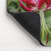 Lily Mousepad (Ecke)