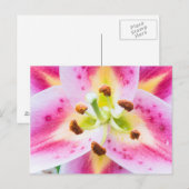 Lily Nah-up Postkarte (Vorne/Hinten)