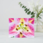 Lily Nah-up Postkarte (Stehend Vorderseite)