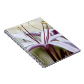 Lily Notizblock (Rechte Seite)