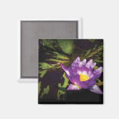 Lily - Nymphaea - angenehmer Tag Magnet (Vorderseite/Rückseite)