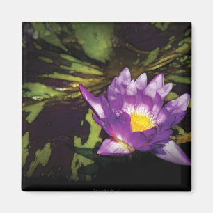 Lily - Nymphaea - Angenehmer Tag Magnet