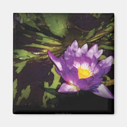 Lily - Nymphaea - angenehmer Tag Magnet (Vorne)