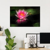 Lily - Nymphaea Gloriosa - Intensität Poster (Heimbüro)