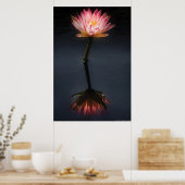 Lily - Nymphaea Jack Holz - Reflektion Poster (Küche)