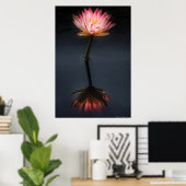 Lily - Nymphaea Jack Holz - Reflektion Poster (Heimbüro)