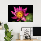 Lily - Nymphaea Ruby - Passion Poster (Heimbüro)
