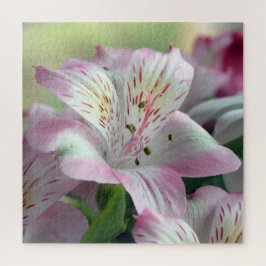 Lily of the Incas Jigsaw Puzzle