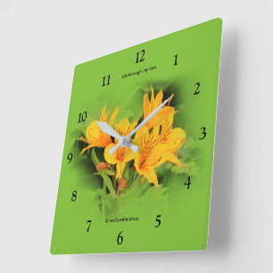 Lily of the Incas / Yellow Alstroemeria Quadratische Wanduhr
