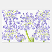 Lily of the Nile on Wrapping Paper Set Geschenkpapier Set (Vorderseite 2)