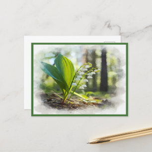 Lily of the tal National Blume Finnland   Postkarte