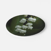 Lily of the Valley-0308 Pappteller (Schrägansicht)