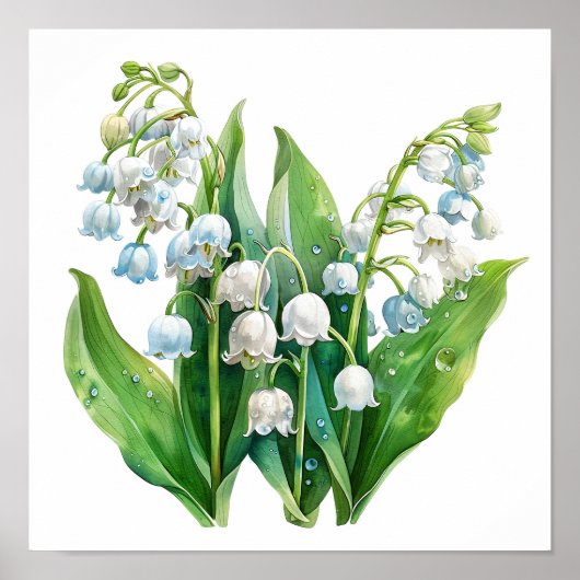 Lily of the Valley Art Print Poster (Vorne)