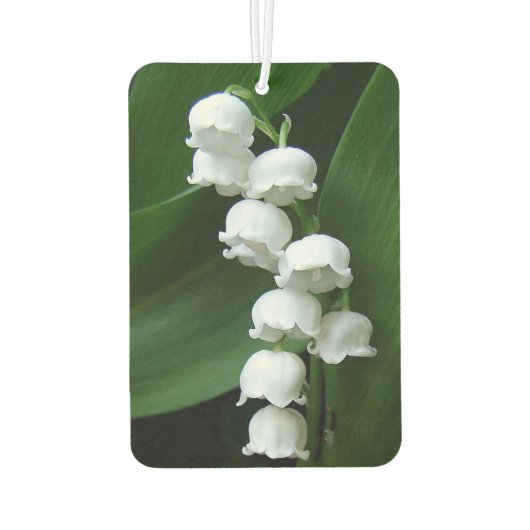 Lily of the Valley Autolufterfrischer (Rückseite)