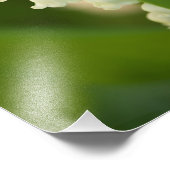 Lily of the Valley Blume Fotodruck (Ecke)