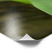 Lily of the Valley Fotodruck (Ecke)