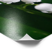 Lily of the Valley Fotodruck (Ecke)