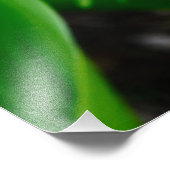 Lily of the Valley Fotodruck (Ecke)