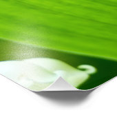 Lily of the Valley Fotodruck (Ecke)