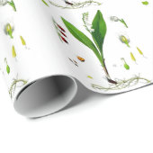 Lily of the Valley Geschenkpapier (Rolleneckpunkt)