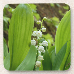 Lily of the Valley Getränkeuntersetzer