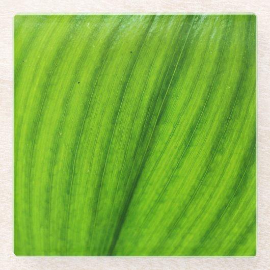 Lily of the Valley Glasuntersetzer (Vorderseite)