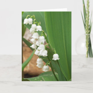 Lily of the Valley Karte
