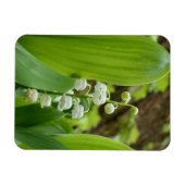 Lily of the Valley Magnet (Horizontal)