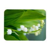 Lily of the Valley Magnet (Horizontal)