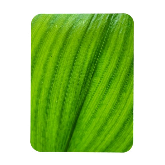Lily of the Valley Magnet (Vertikal)