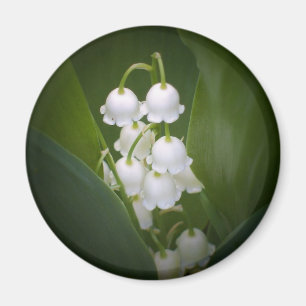 Lily-Of-The_Valley Magnet