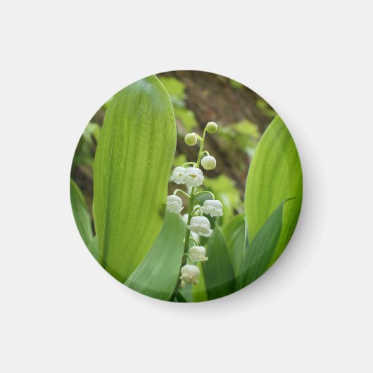 Lily of the Valley Magnet (Vorne)